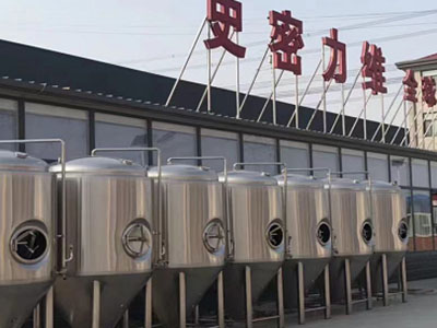 庐阳精酿啤酒设备厂—如何判断精酿啤酒设备的密封件需要更换？